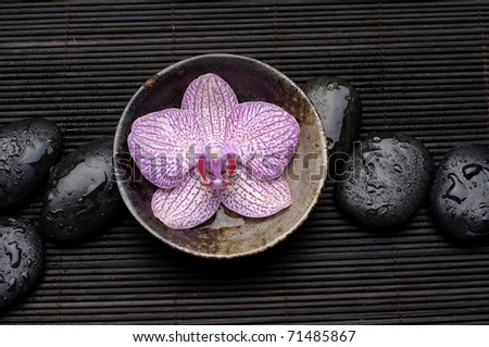 Zen Still Life â??orchid floating in bowl with wet stones