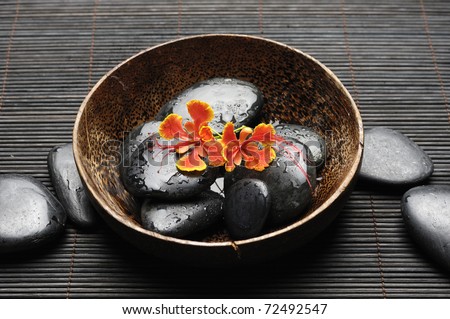 Zen Still Life â??Red Peacock flower in bowl with wet stones