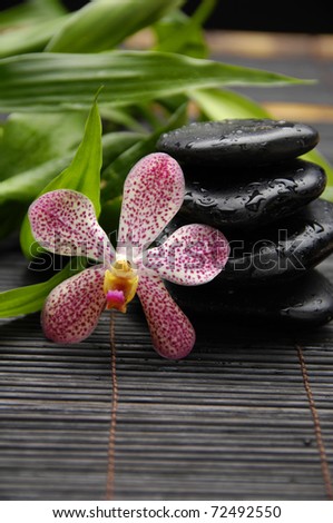 stacked stones and green plant with orchid on bamboo stick straw mat