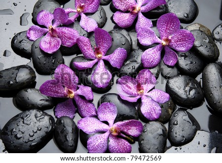 set of pink orchid with stones water drops