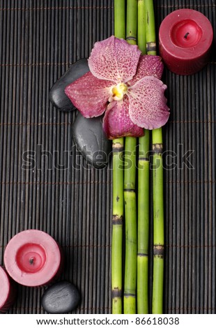 red orchid with thin bamboo grove and stones on bamboo mat texture
