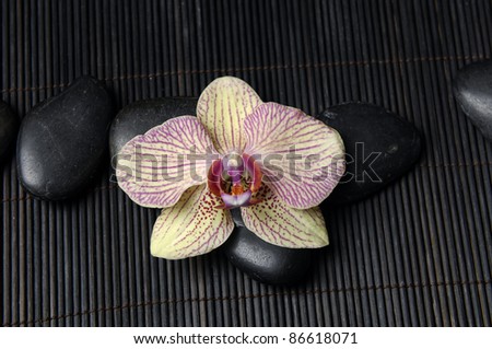Close up beautiful orchid and zen Stones on stick straw mat