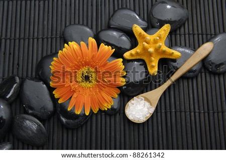 Spa life setting(gerbera and stones, spa salt in spoon , starfish)