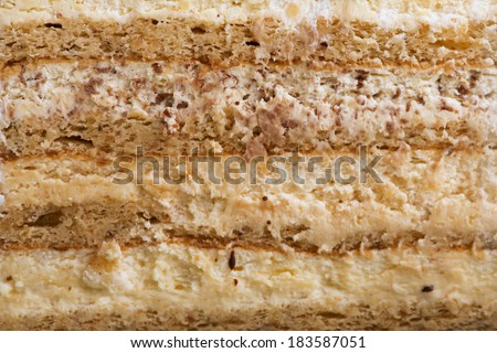 Side view or cross cake. Texture and used ingredient for this cake are visible. A professional food stylist was used for this image.