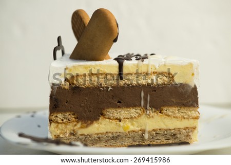 Delicious slice of cake, shallow depth of field