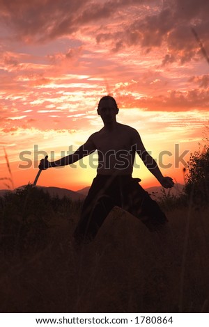 Man with sword in sunsets