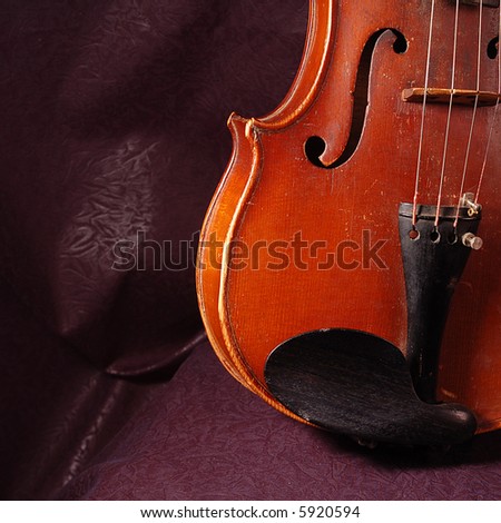 Fragment of string instruments, violin on dark background