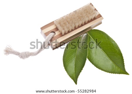 Natural Wood Scrub Brush with Leaves for a Green Environmentally Friendly Cleaning Image.  Isolated on White with a Clipping Path.
