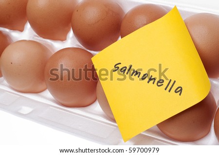 Eggs Can Carry Salmonella Concept with Brown Egg and Yellow Note.