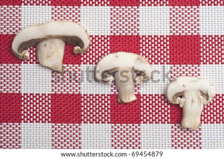 Button Mushroom Food Concept on Red Checkered Background.