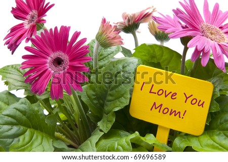Flowers Mothers  on Happy Mothers Day With Flowers And Sign With Text  Stock Photo
