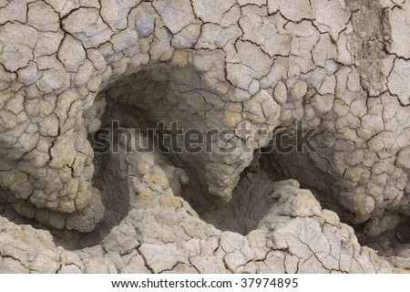Dry mud texture