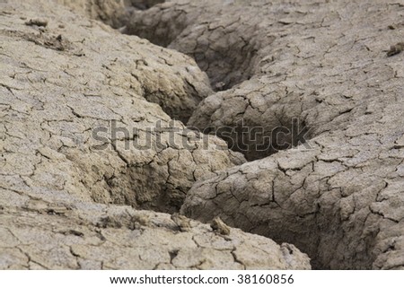 dry mud texture 02