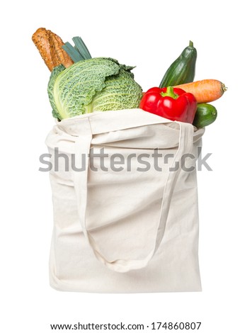 Full grocery bag with food