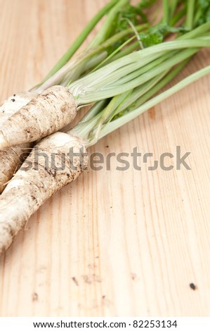 Harvested parsley root