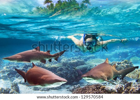 Woment snorkeling in the tropical water with dangerous bull sharks