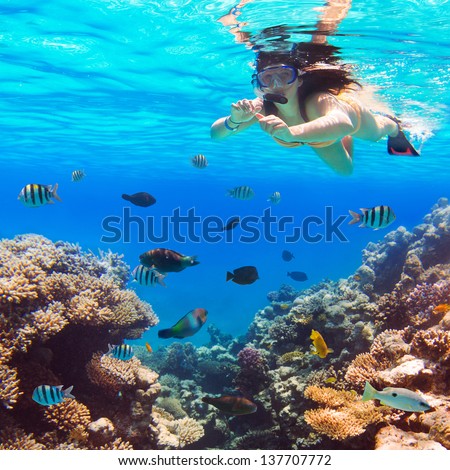 Beautiful Woman Snorkeling In Red Sea Of Egypt