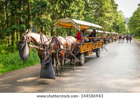 ZAKOPANE, POLAND - JUNE 25: Unidentified people at horse carts in Tatra National Park on 25 June 2013. Horse cart ride is a tourists attraction on the way to the 