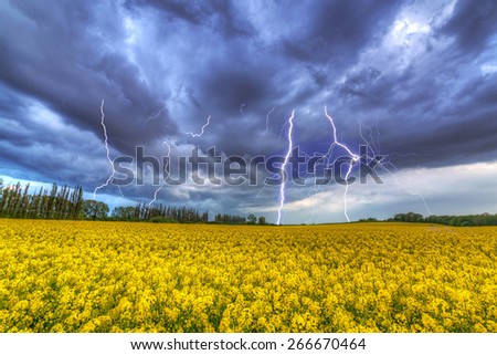 Summer thunderstorm over the rapeseed field in Poland