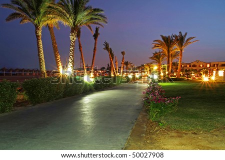 Under palm trees at night