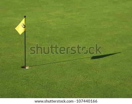 Putting green with flag no 8