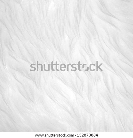 white fur