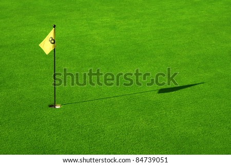 Putting green with flag