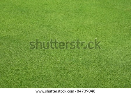 Perfect Green