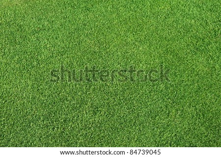 Perfect Green