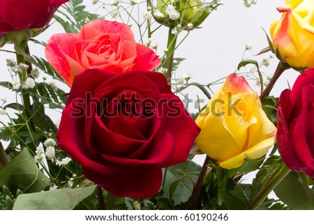 white and yellow rose bouquets. stock photo : Closeup ouquet