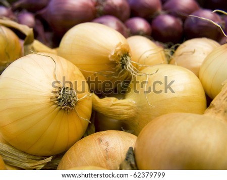 A pile of beautiful bulb onions on a counter