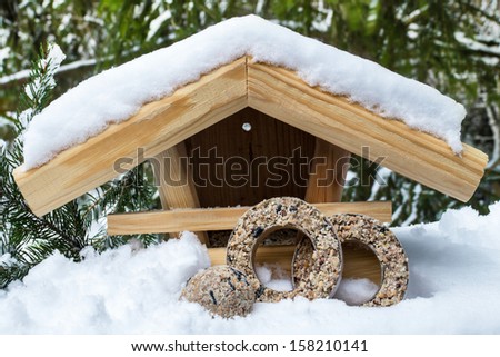 Bird house and snow