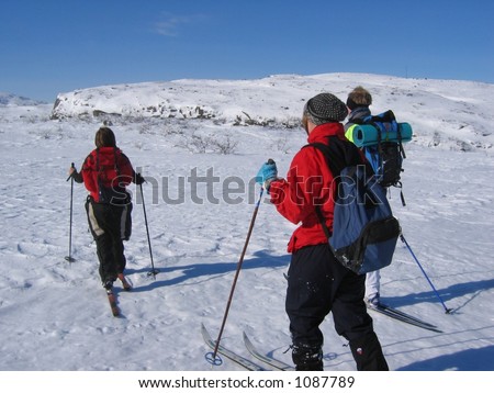 Group of young people skiing in the mountains