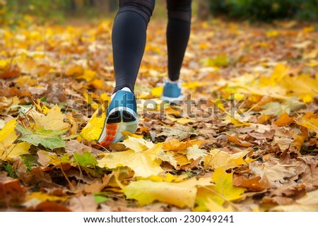 Run in the autumn woods