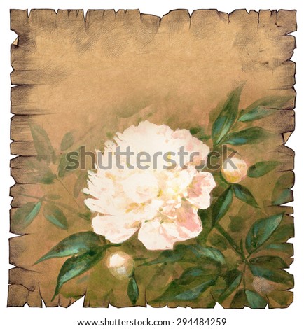 Hand drawn illustration of a vintage old paper scroll with a drawing of a beautiful white flower on it