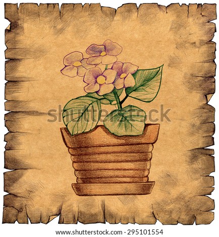 Hand drawn pencil illustration of a beautiful flower in a pot