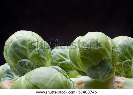 Stem or head of uncooked brussel sprouts in their natural state