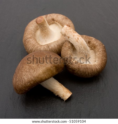 Whole raw Shitake Mushrooms against dark slate background.