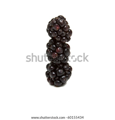 Abstract Wild hedgerow blackberry tower isolated on white.
