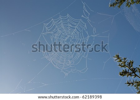Abstract dew covered cobweb isolated against vivid blue sky.