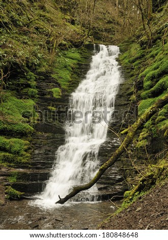 Water-Break-Its-Neck waterfall, Warren Woods, Radnor Forest, Wales