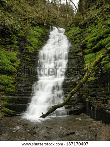 Water-Break-Its-Neck waterfall, Warren Woods, Radnor Forest, Wales Slow exposure shot