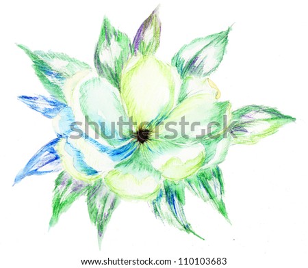 Watercolor pencil drawing of Blossoming branch of an apple-tree