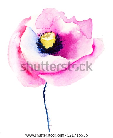 Colorful pink poppy flowers watercolor illustration Colorful pink poppy flowers watercolor illustration