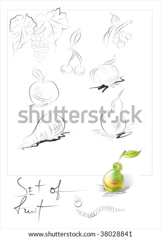 Sketch Of Fruit. (Vector) - 38028841 : Shutterstock