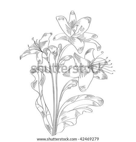 stock vector Sketch with lily flowers