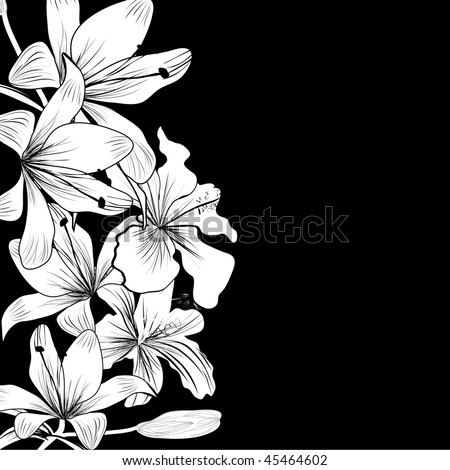 flowers pictures black and white. stock vector : Black and white