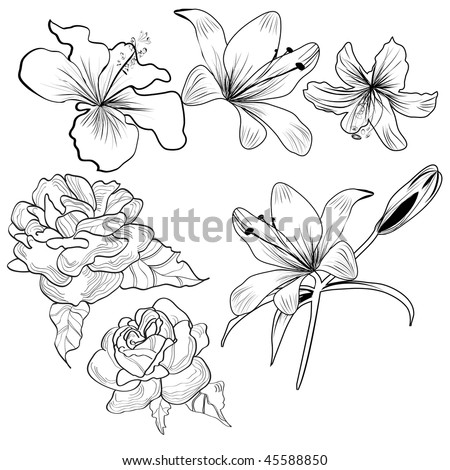 stock vector Sketch with flowers