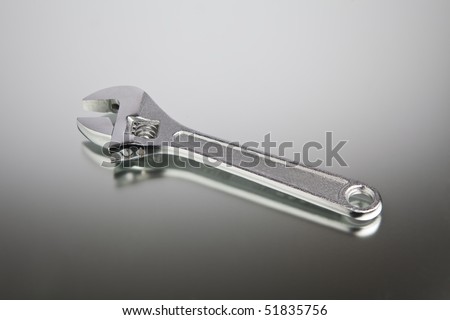 adjustable spanner (monkey spanner), wrench