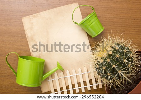 Care home with cactus plants, decorative bucket, watering can and a fence.